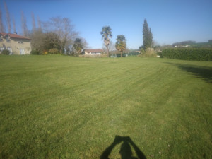 Photo de galerie - Tonte de pelouse - Débroussaillage