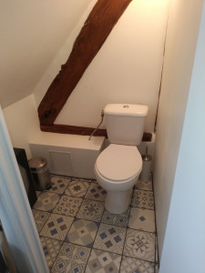 Photo de galerie - Rénovation WC