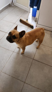 Photo de galerie - Une garde régulière 