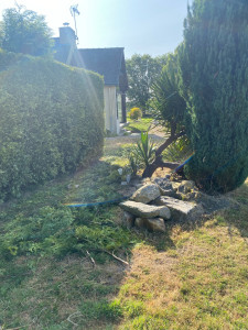 Photo de galerie - Taille de haies et d'arbustes