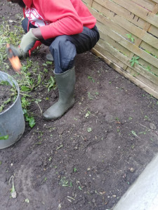 Photo de galerie - Jardinage 