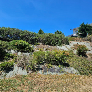 Photo de galerie - Entretien complet d un talus et taille arbustes