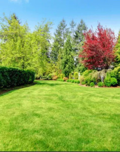 Photo de galerie - Entretien tout vôtre jardin 