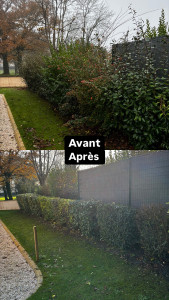 Photo de galerie - Taille de haies et d'arbustes