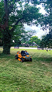 Photo de galerie - Réalisation d entretien de tonte pour la ville d' un parc.