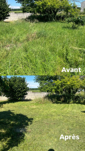 Photo de galerie - Tonte de pelouse 