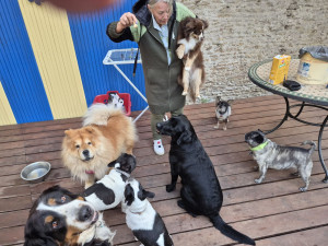 Photo de galerie - Entente cordiale, comme à la
 maison. 