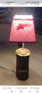 Photo de galerie - Lampe que j'ai réalisé et que j'ai offert à une amie