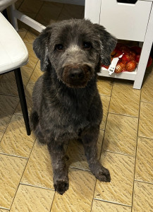 Photo de galerie - Jimmo^^