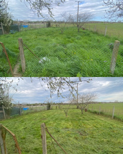 Photo de galerie - Première tonte 