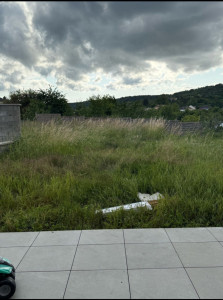 Photo de galerie - Tonte de pelouse - Débroussaillage