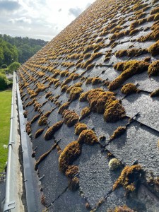 Photo de galerie - Pulvérisations d’un produit anti mousse sur une toiture en ardoise fibro non lavable au karcher 