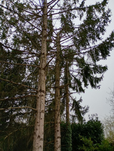 Photo de galerie - Je fais de l'huile d'un garage