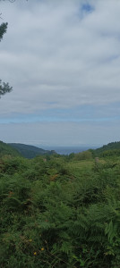 Photo de galerie - Jardinier