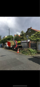 Photo de galerie - Broyage et évacuation d’un cèdre ( location de camion benne et du broyeur ) 