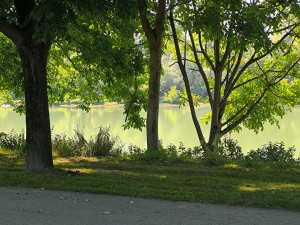 Photo de galerie - Promenade 