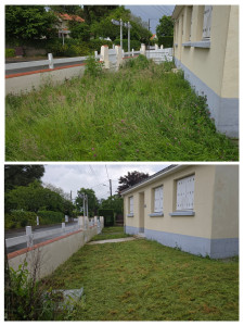 Photo de galerie - Tonte de pelouse - Débroussaillage