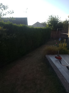 Photo de galerie - Bonjour je propose mes services pour
 espaces verts 