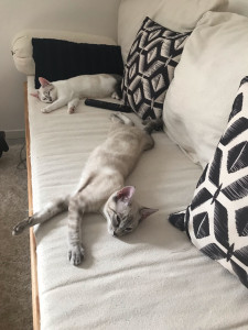 Photo de galerie - Après s’être bien dépenser 