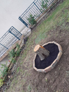 Photo de galerie - Sapin 12m