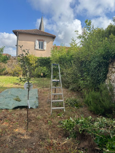 Photo de galerie - Nettoyer le mur 