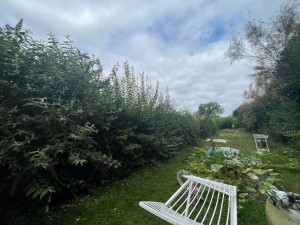 Photo de galerie - Avant - Taille De Haie Fleuries 