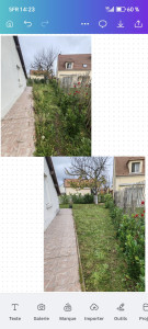 Photo de galerie - Tonte de pelouse, désherbage.