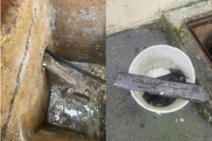 Photo de galerie - Terrassement - Assainissement