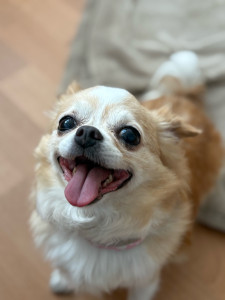 Photo de galerie - Lyly