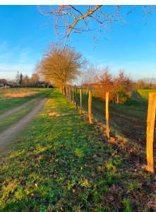 Photo de galerie - Clôture Grillage