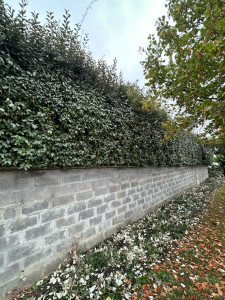 Photo de galerie - Pendant 