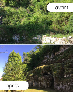 Photo de galerie - Débroussaillage d'une falaise