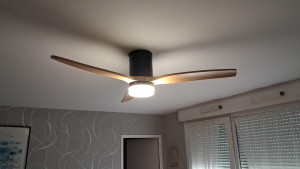 Photo de galerie -  ventilateur plafond 