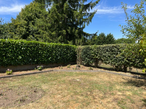 Photo de galerie - Coupe d’arbre