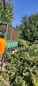 Photo de galerie - évacuation des déchets verts