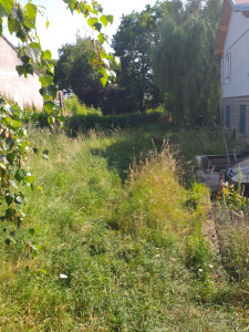 Photo de galerie - Création des gazon 