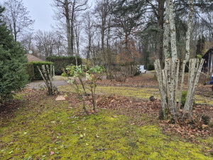 Photo de galerie - Taille d'arbustes 