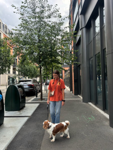 Photo de galerie - Garde pour chiens 