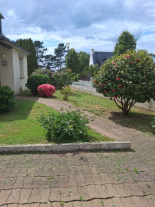 Photo de galerie - Tonte de Pelouse 
