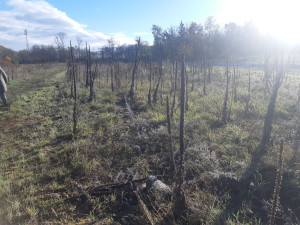 Photo de galerie - Rafraîchissement 