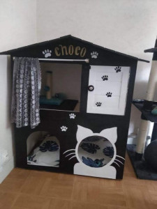 Photo de galerie - Cabane pour chat que j'ai fait de zéro avec juste une vieille cabane à lapin.