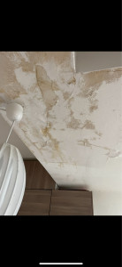 Photo de galerie - Peinture - Tapisserie