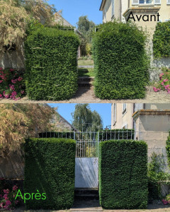 Photo de galerie - Avant/ après 