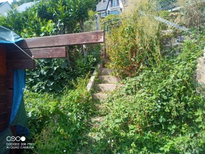 Photo de galerie - Tonte de pelouse - Débroussaillage