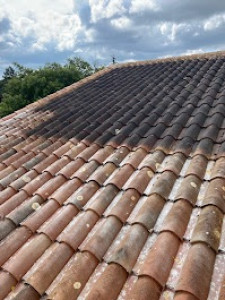 Photo de galerie - Nettoyage toiture