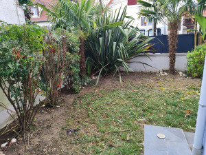 Photo de galerie - Taille , tonte , débroussaillage , élagage , enlèvement de gravats , n'hésitez pas 