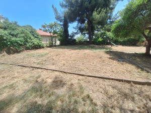 Photo de galerie - Tonte de pelouse - Débroussaillage