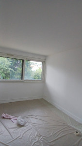 Photo de galerie - Peinture - Tapisserie