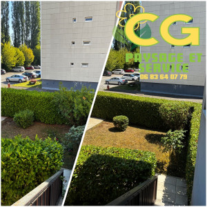 Photo de galerie - Taille 