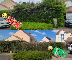 Photo de galerie - Qui avait vu le lampadaire ?